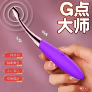 Gan S